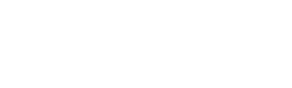 Dinamo danza