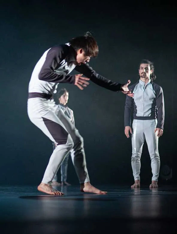 Elektrical Body Dinamo Danza