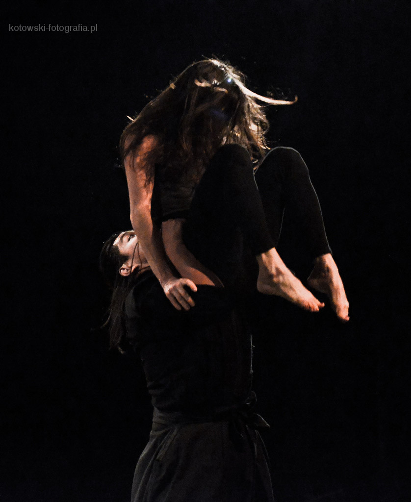 Luz Dinamo Danza