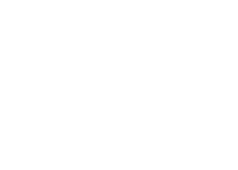 Luz Negra Dinamo Danza