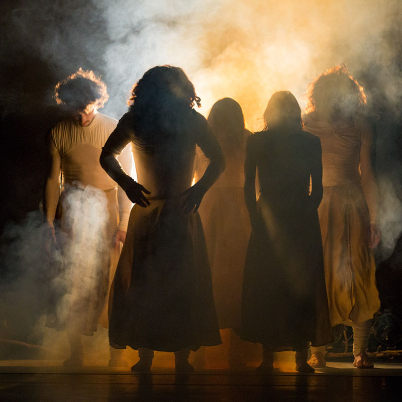Luz Dinamo Danza