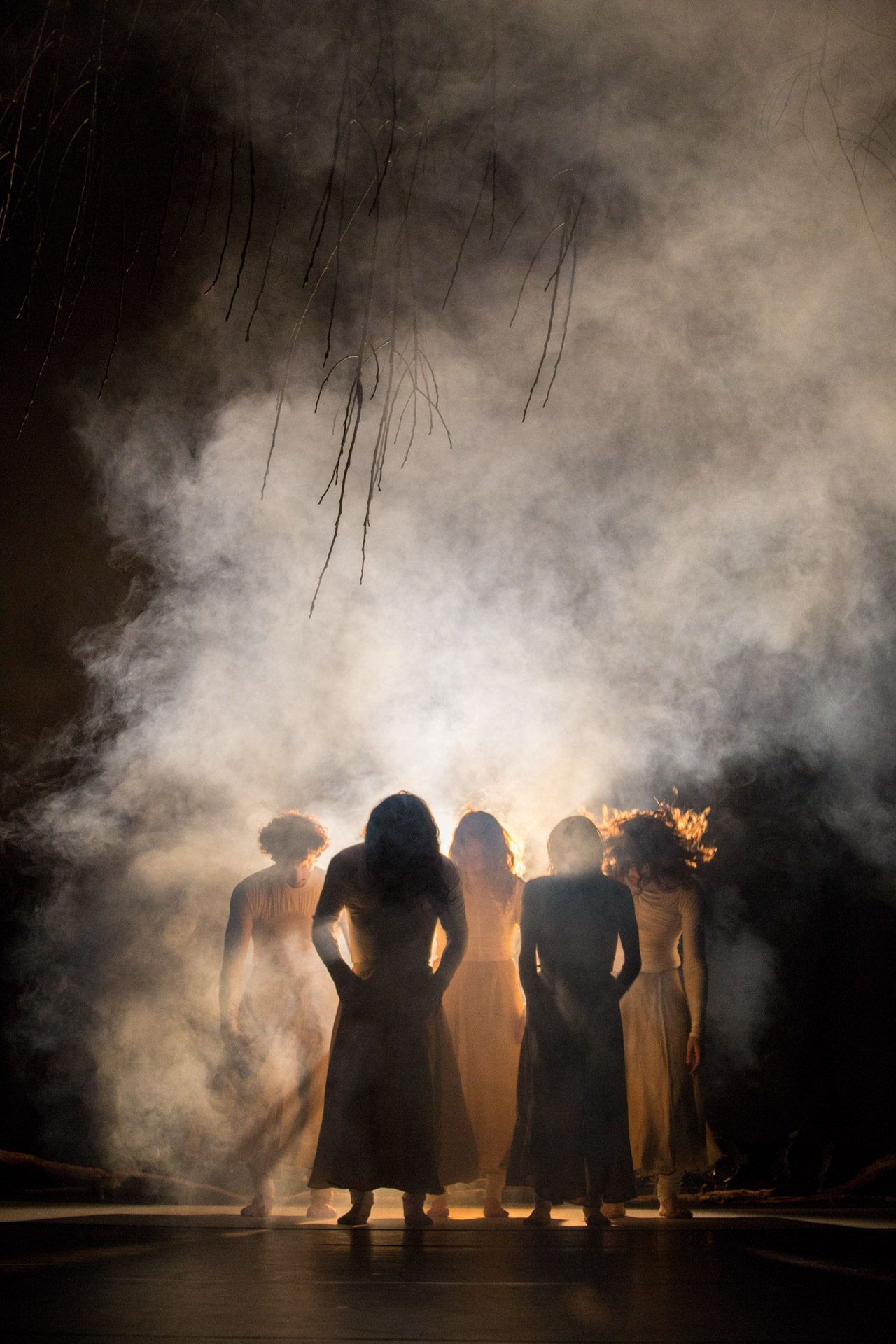 Luz Dinamo Danza