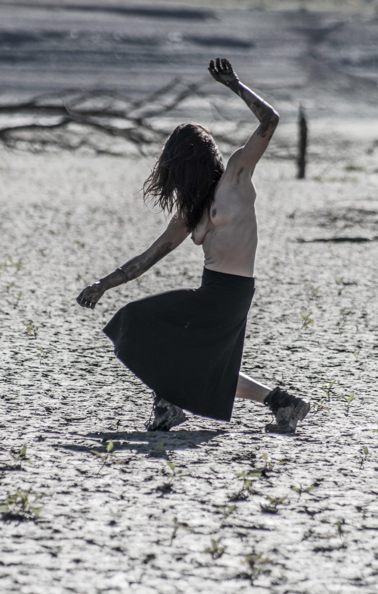 Luz Dinamo Danza
